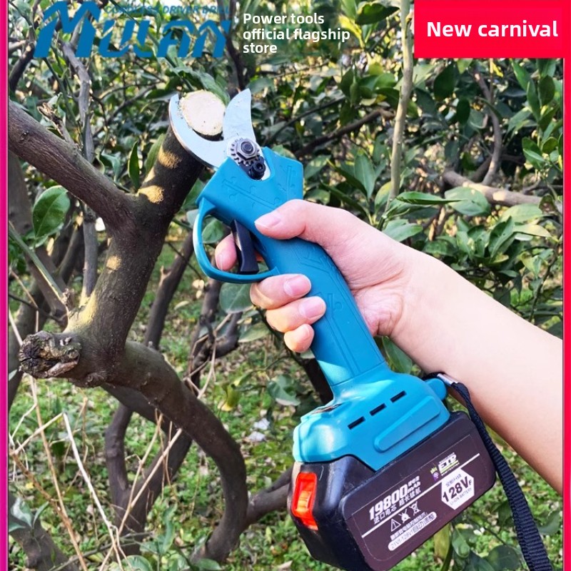 110V/220V กรรไกรไฟฟ้าสำหรับกิ่ - Tools Qcc บทวิจารณ์และราคา