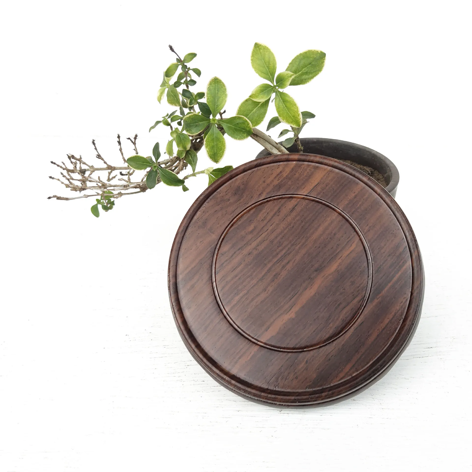 ทำจากไม้แนวย้อนยุคชั้นวางพระพุ - Chisel Set Wood บทวิจารณ์และราคา